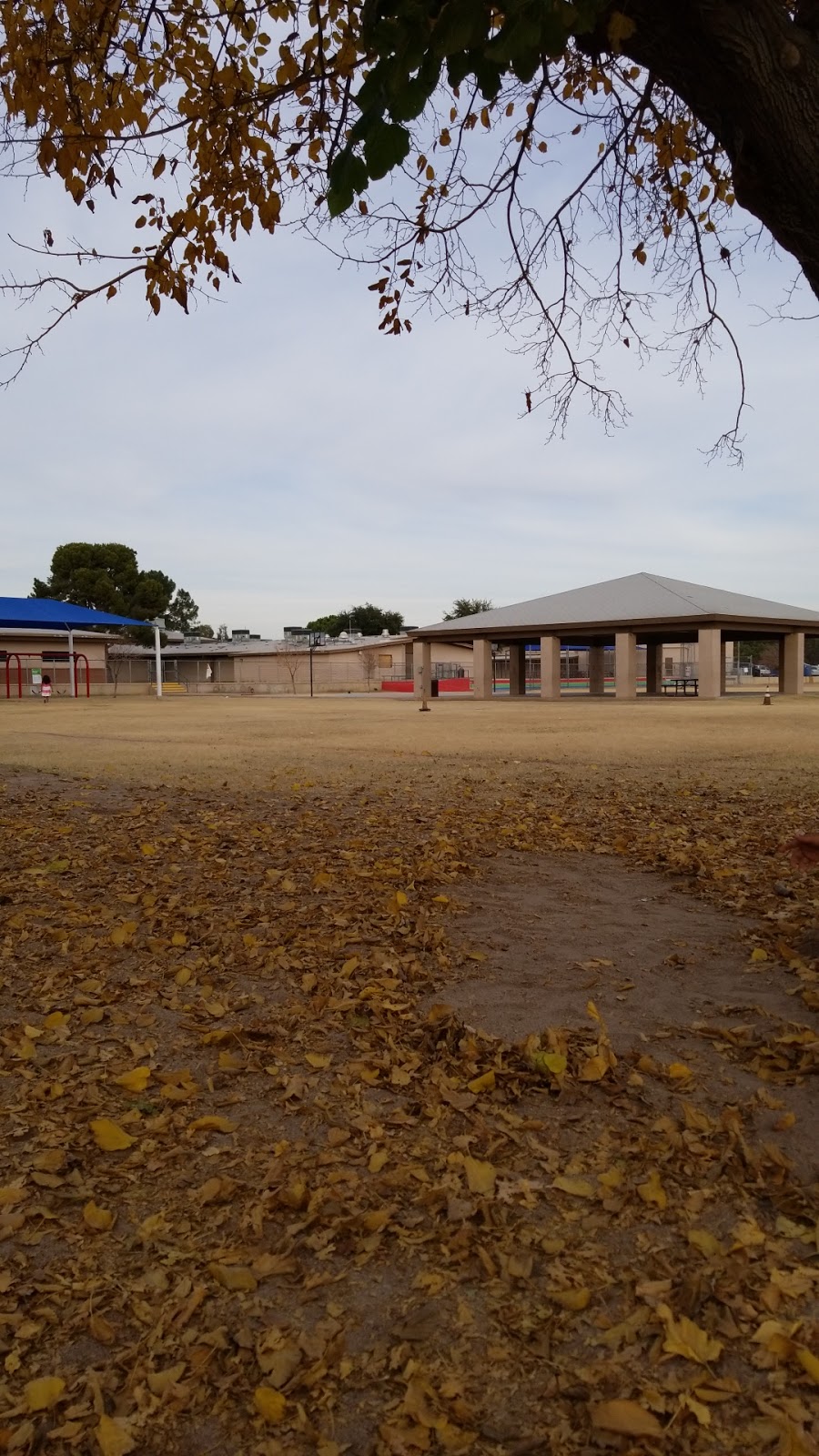 Joseph Zito Elementary School | 4525 W Encanto Blvd, Phoenix, AZ 85035 | Phone: (602) 442-2500