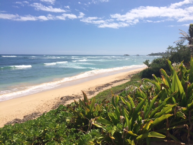 Laie Beach Retreat | 55-639 Kamehameha Hwy, Laie, HI 96762, USA | Phone: (808) 735-7535