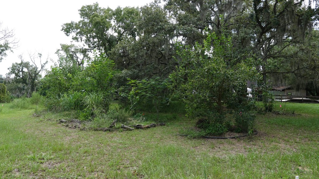 Grow Permaculture, LLC | 11251 Salina St, Brooksville, FL 34614, USA | Phone: (727) 266-0477