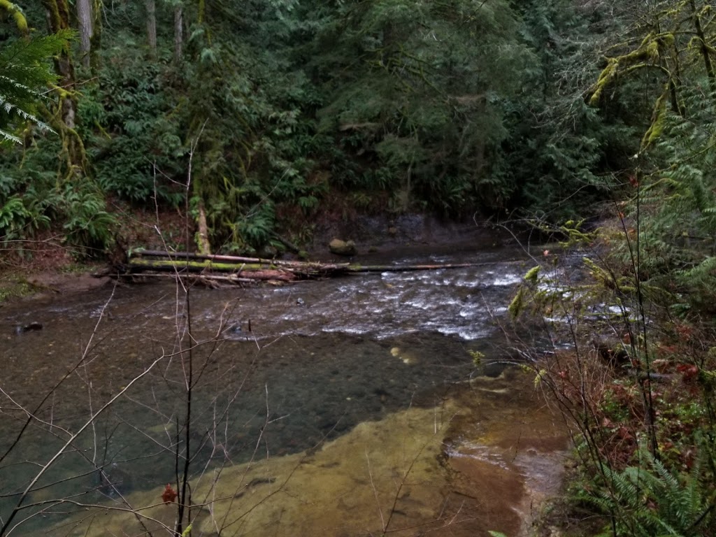 Metzler Park Recreation Site | Estacada, OR 97023, USA | Phone: (503) 630-4743