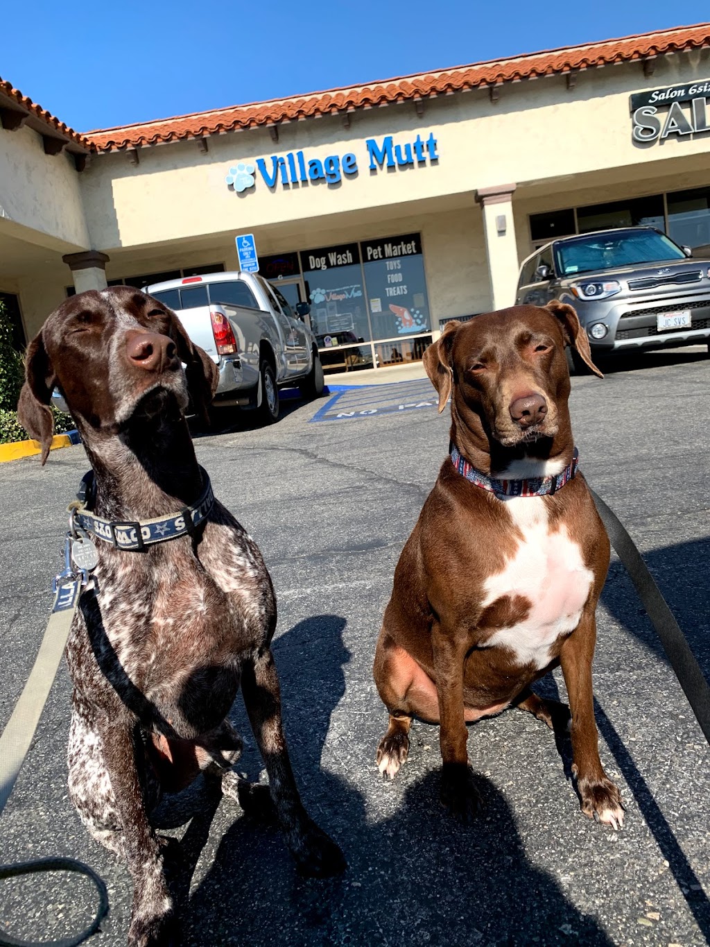 The Village Mutt | 665 E Foothill Blvd, Claremont, CA 91711, USA | Phone: (909) 624-3020
