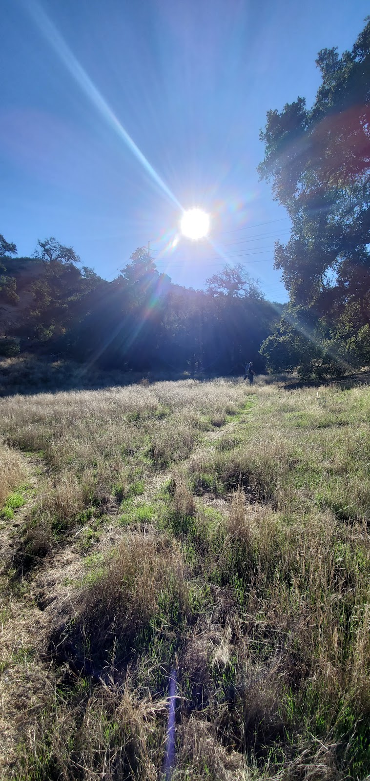 Cienega Canyon Preserve | San Timoteo Canyon Rd, Calimesa, CA 92320, USA | Phone: (951) 788-0670