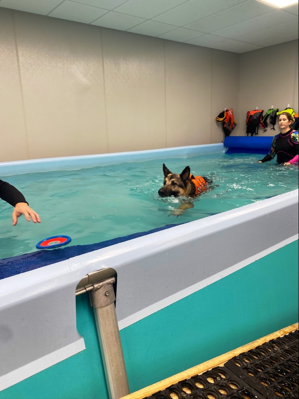 Scuba Sams Canine Hydrotherapy LLC | 1001 Alanis Dr Suite 220, Wylie, TX 75098 | Phone: (469) 347-3748