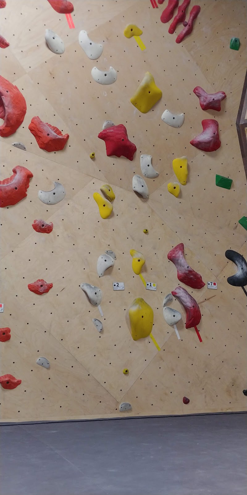 Loveland Climbing Collective | 1503 Taurus Ct, Loveland, CO 80537, USA | Phone: (970) 369-9306