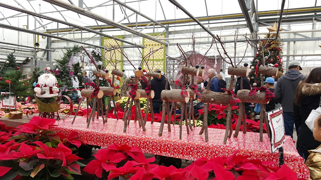 Hessells Greenhouse | 14497 23 Mile Rd, Shelby Township, MI 48315, USA | Phone: (586) 247-4675