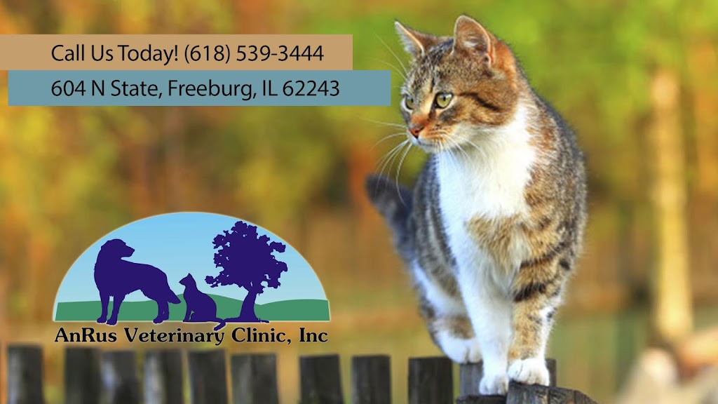 AnRus Veterinary Clinic | 604 N State St, Freeburg, IL 62243, USA | Phone: (618) 539-3444