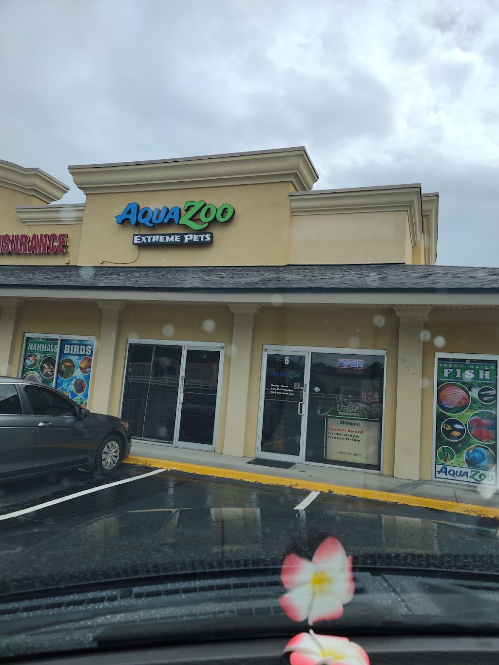 AquaZoo Extreme Pets | 999 Blanding Blvd, Orange Park, FL 32065, USA | Phone: (904) 208-0572