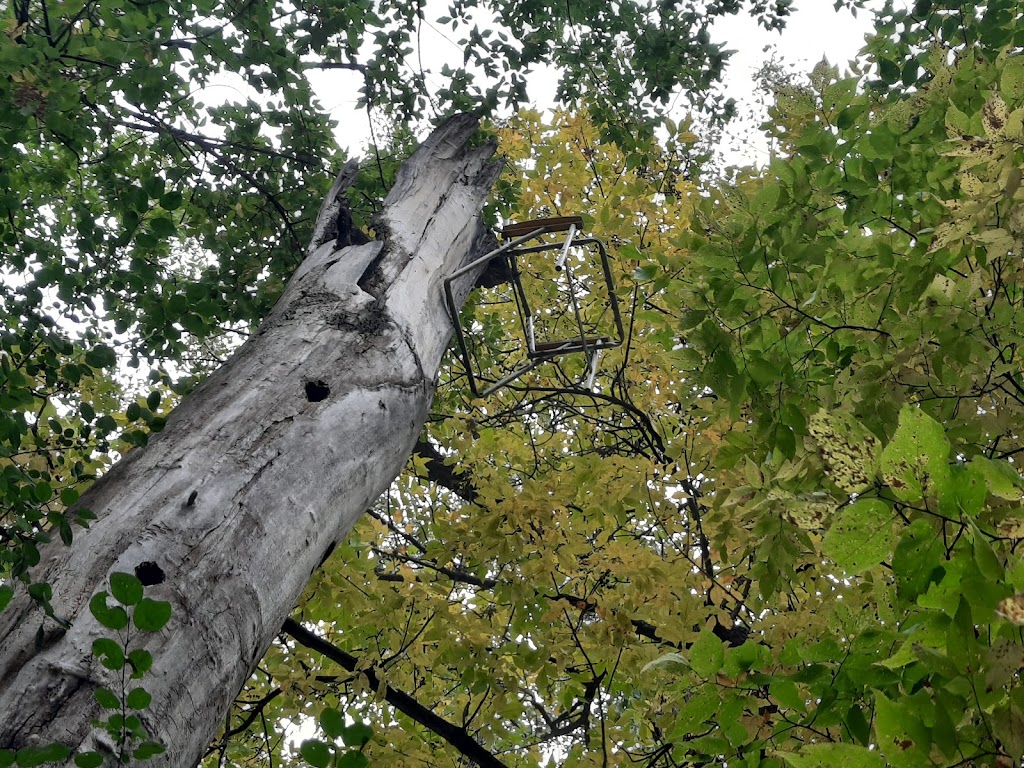 Minnesota River Bottoms Trails | 11115 Lyndale Ave S, Bloomington, MN 55420, USA | Phone: (952) 563-8700