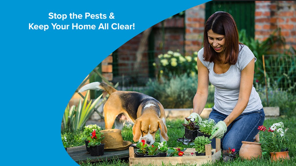 All Clear Pest Control | 8648 Ionean Ct, Elk Grove, CA 95624, USA | Phone: (916) 249-2986