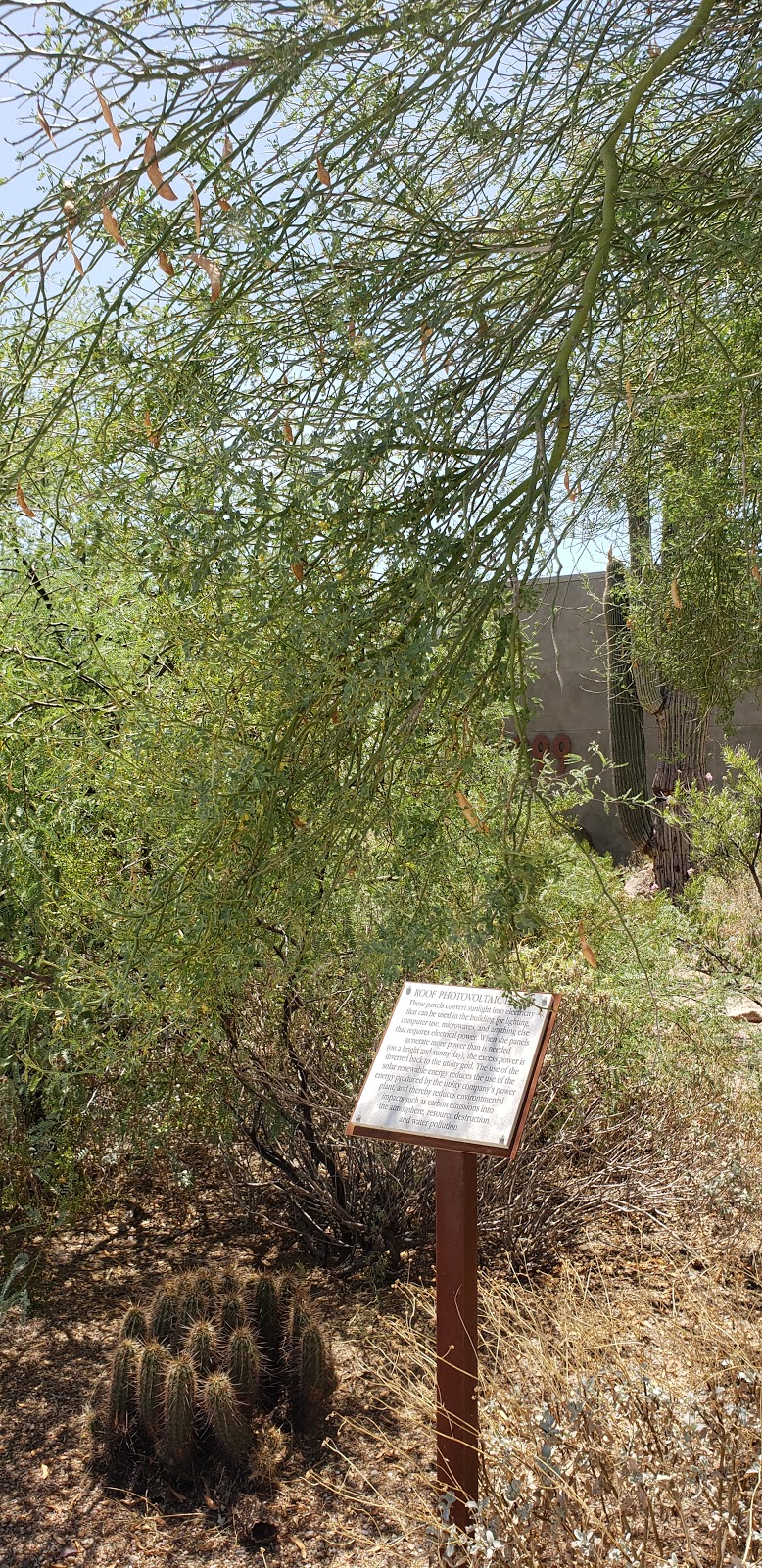 Usery Mountain Regional Park Nature Center | 3939 N Usery Pass Rd, Mesa, AZ 85207, USA | Phone: (480) 984-0032