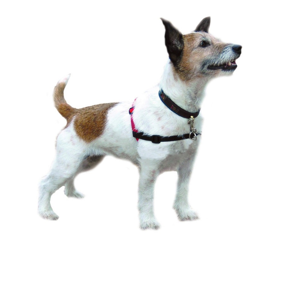 Sunset345sohui | 6349 Edgewood Way, Rocklin, CA 95677, USA | Phone: (916) 300-1512