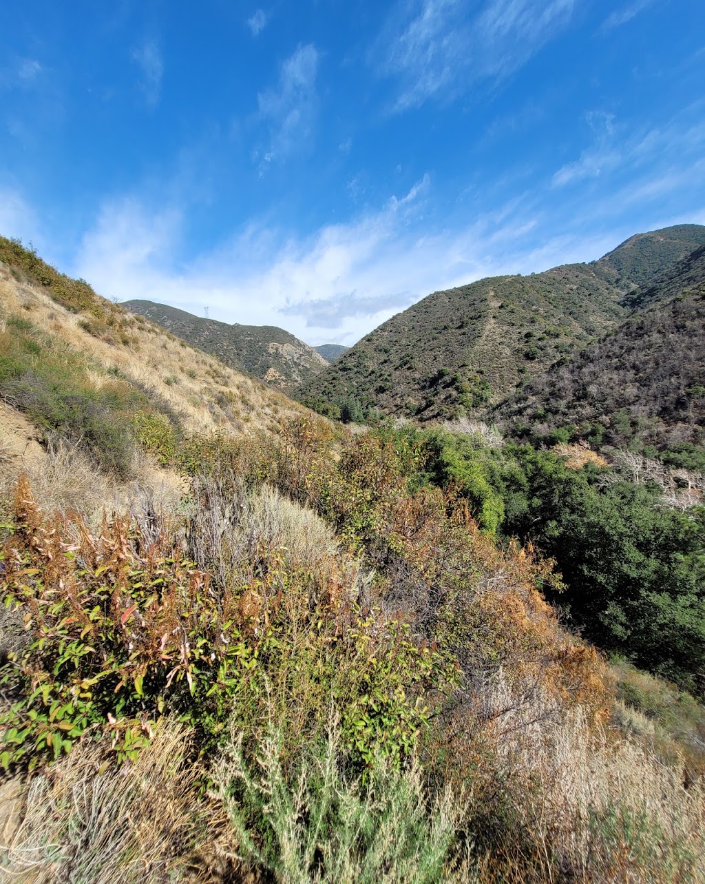 Maple Springs Trailhead | 31332 Silverado Canyon Rd, Silverado, CA 92676, USA | Phone: (951) 736-1811