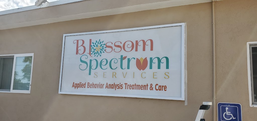 Blossom Spectrum Services | 1000 N Maclay Ave, San Fernando, CA 91340, USA | Phone: (818) 336-6522