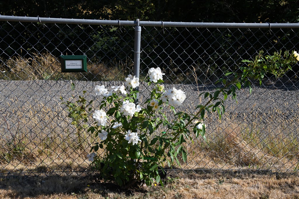 Logan Pleasant View Cemetery | 15901 S Springwater Rd, Oregon City, OR 97045, USA | Phone: (503) 631-7502