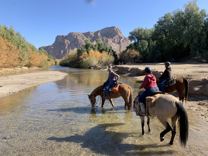 Ride Out Ranch | Florence, AZ 85132, USA | Phone: (480) 420-7339