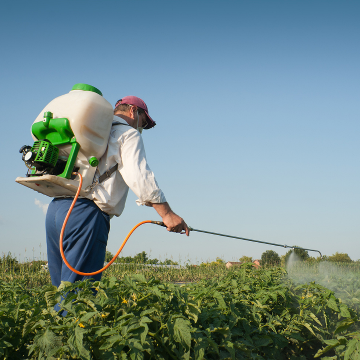 Stampede Pest Control - McKinney, TX | 106 Business Park Way #500, McKinney, TX 75071 | Phone: (214) 210-0034