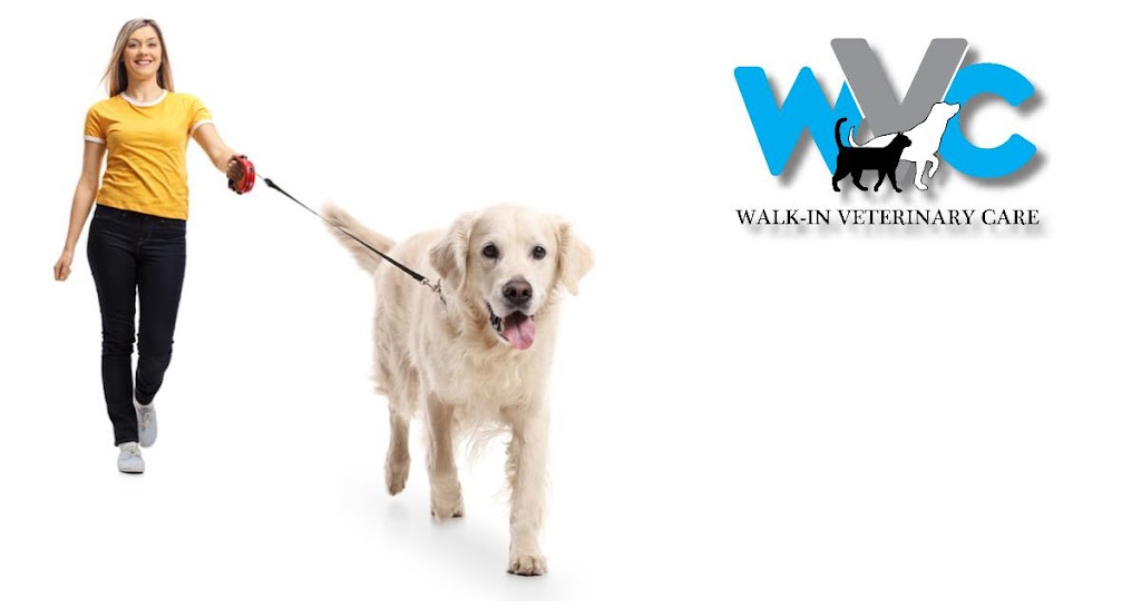Walk-In Veterinary Care | 5080 N U.S. Hwy 41, Apollo Beach, FL 33572, USA | Phone: (813) 213-8515