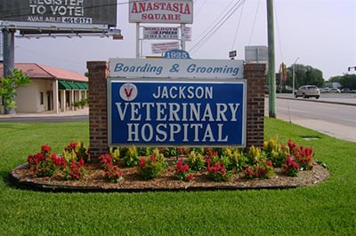 Jackson Veterinary Hospital | 1925 A1A S, St. Augustine, FL 32080, USA | Phone: (904) 471-3044