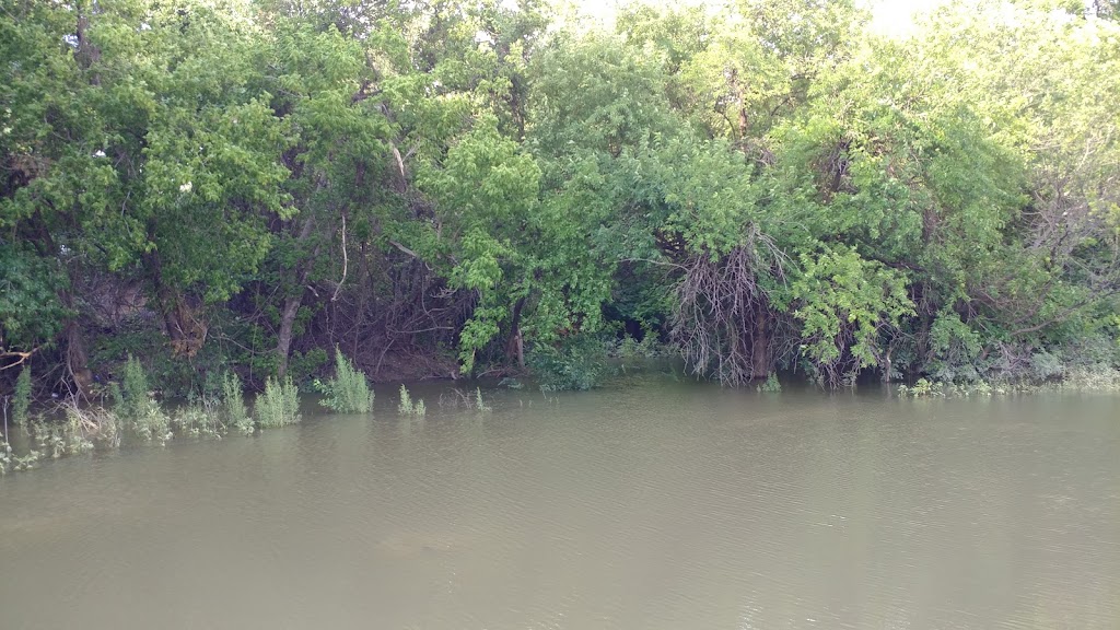 Andrew Brown Park Central | 364 N Denton Tap Rd, Coppell, TX 75019, USA | Phone: (972) 462-5100