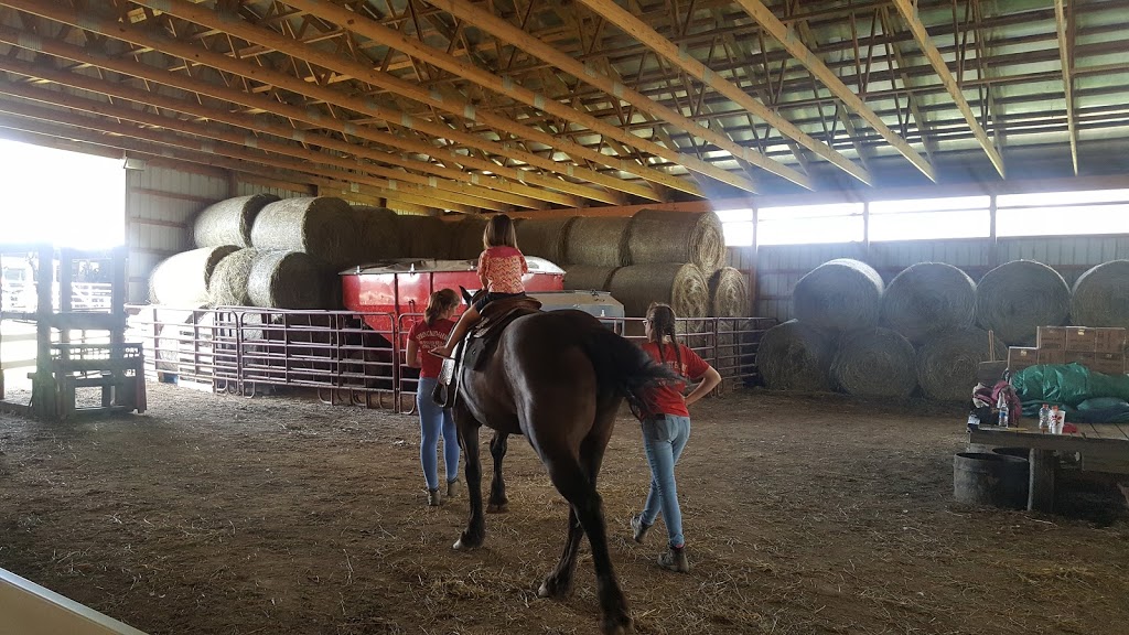 Spring Mist Farms | 691 Pearl Rd, Brunswick, OH 44212, USA | Phone: (330) 225-3565