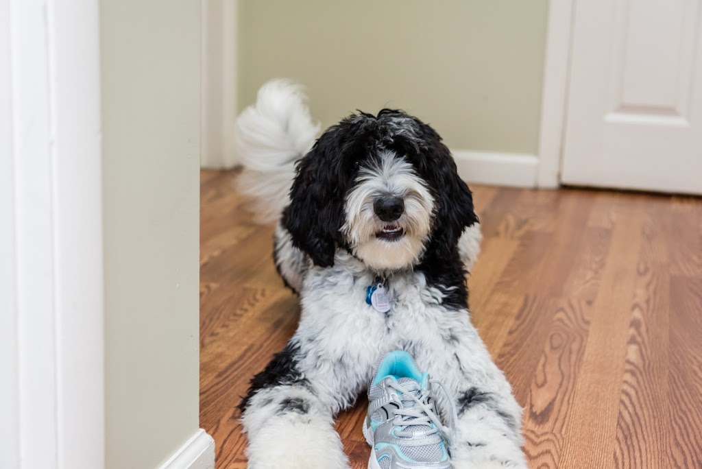 Tri-State Foot and Ankle Center - Wilmington | 2018 Naamans Rd #1, Wilmington, DE 19810, USA | Phone: (302) 475-1299