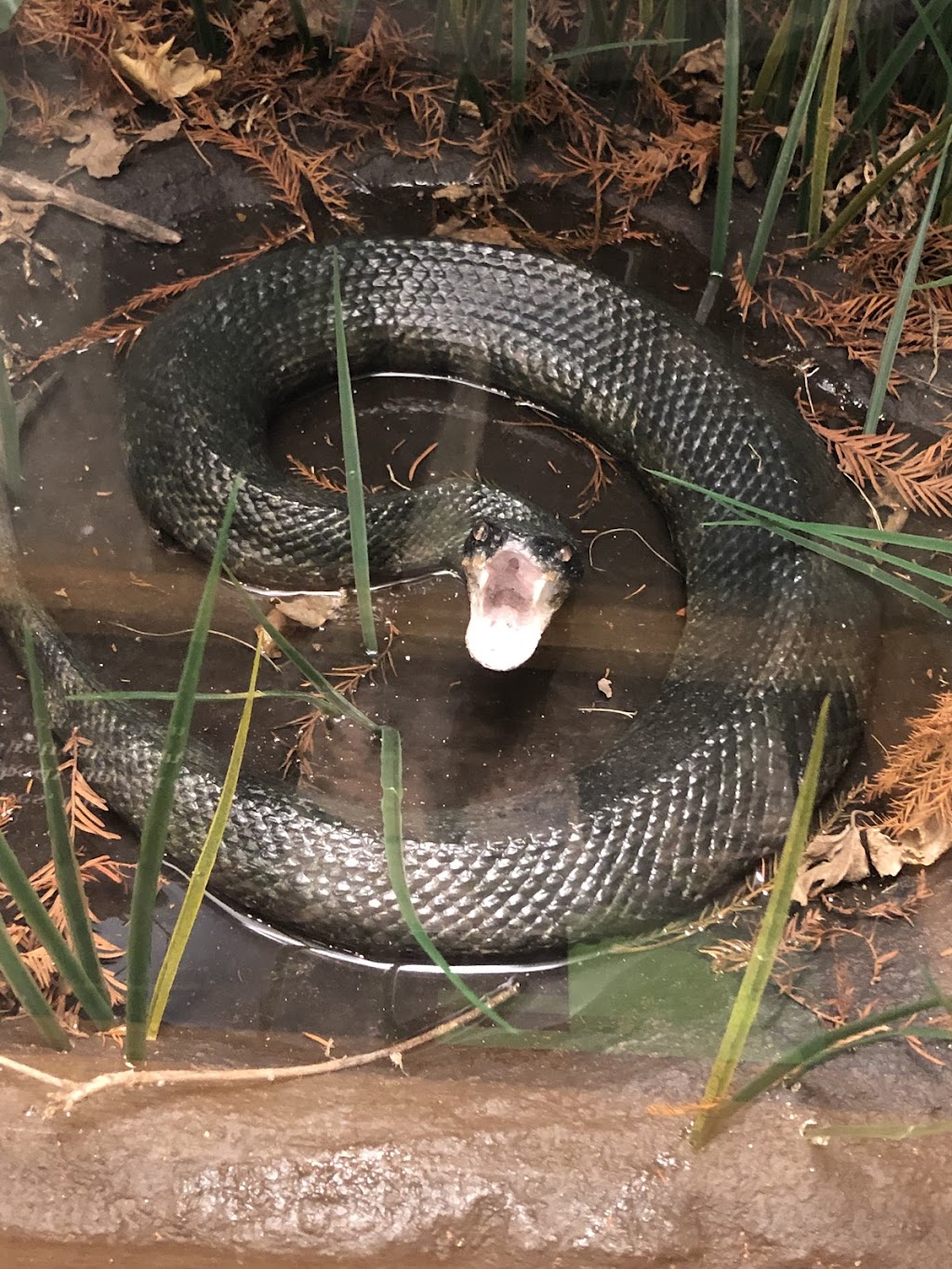 Three Forks Nature Center | 19460 Park 80, Hulbert, OK 74441, USA | Phone: (918) 772-2545