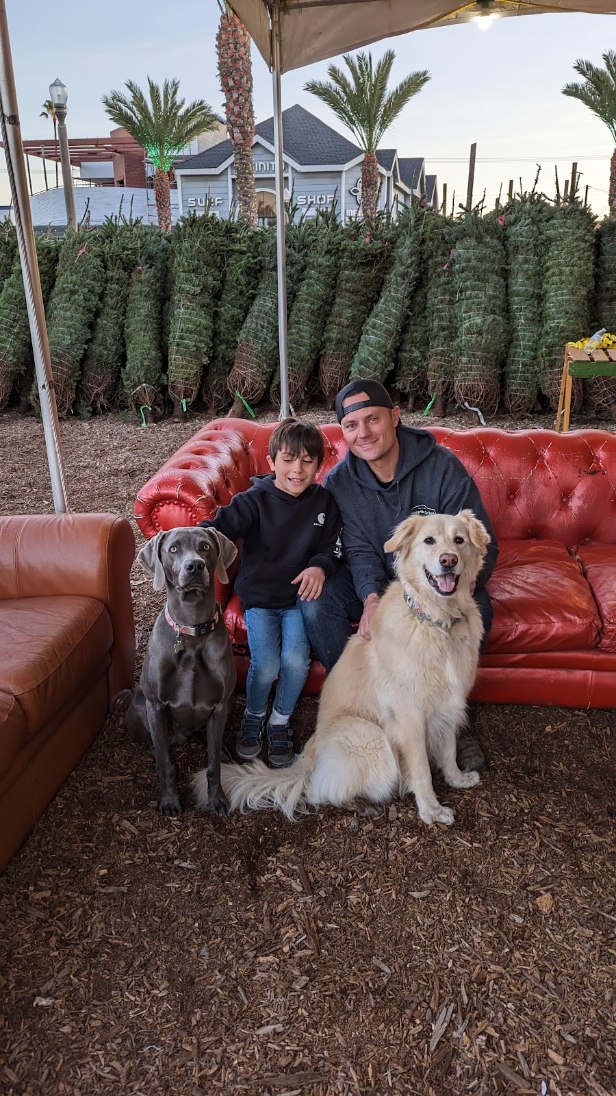 Blakes Christmas Tree Lot | 34111 CA-1, Dana Point, CA 92629, USA | Phone: (949) 806-9498