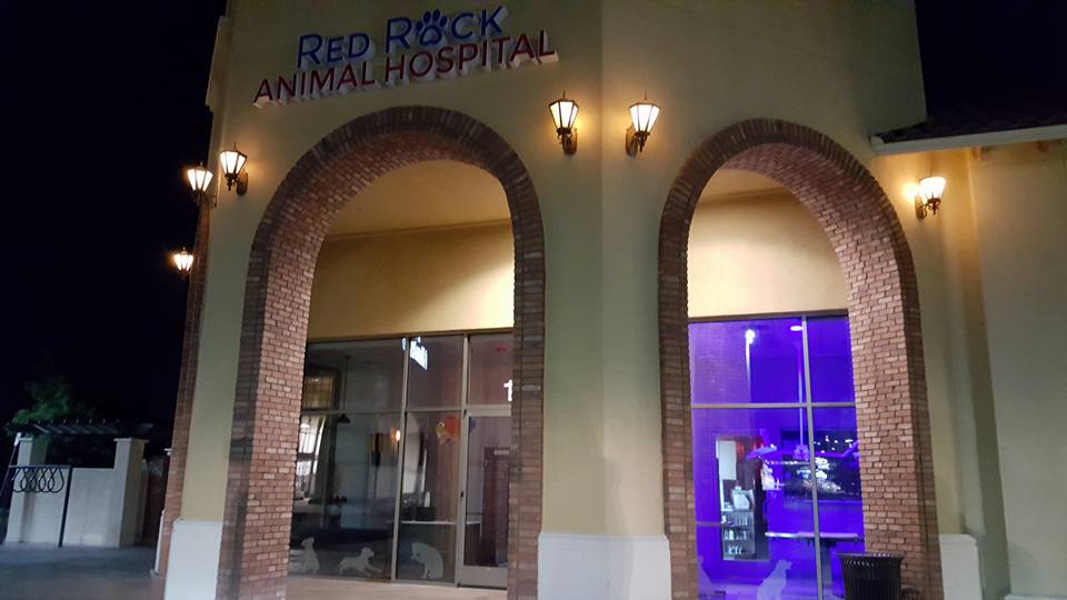 Red Rock Animal Hospital | 11700 W Charleston Blvd #110, Las Vegas, NV 89135 | Phone: (702) 254-2111