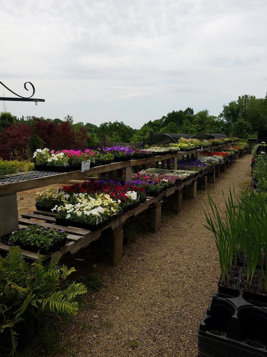 Kubrick Brothers Garden Center | 329 Coxcomb Hill Rd, New Kensington, PA 15068, USA | Phone: (724) 339-8330