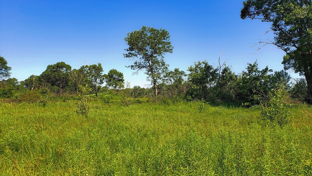 Pine Island Savanna State Natural Area | Levee Rd, Baraboo, WI 53913, USA | Phone: (888) 936-7463