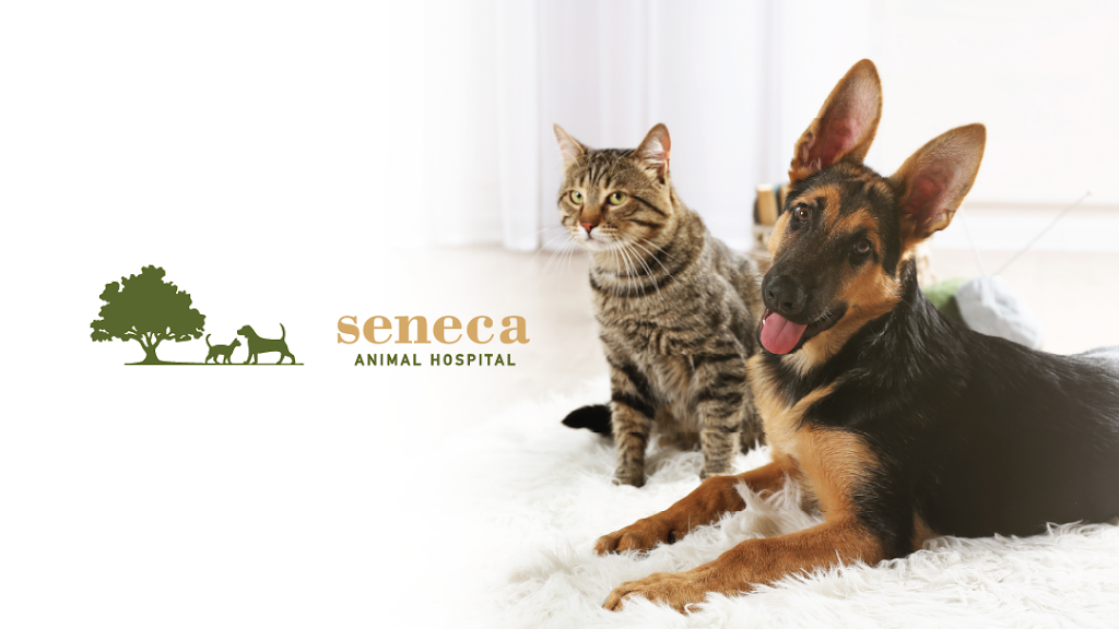 Seneca Animal Hospital | 2706 Taylorsville Rd, Louisville, KY 40205, USA | Phone: (502) 458-1161