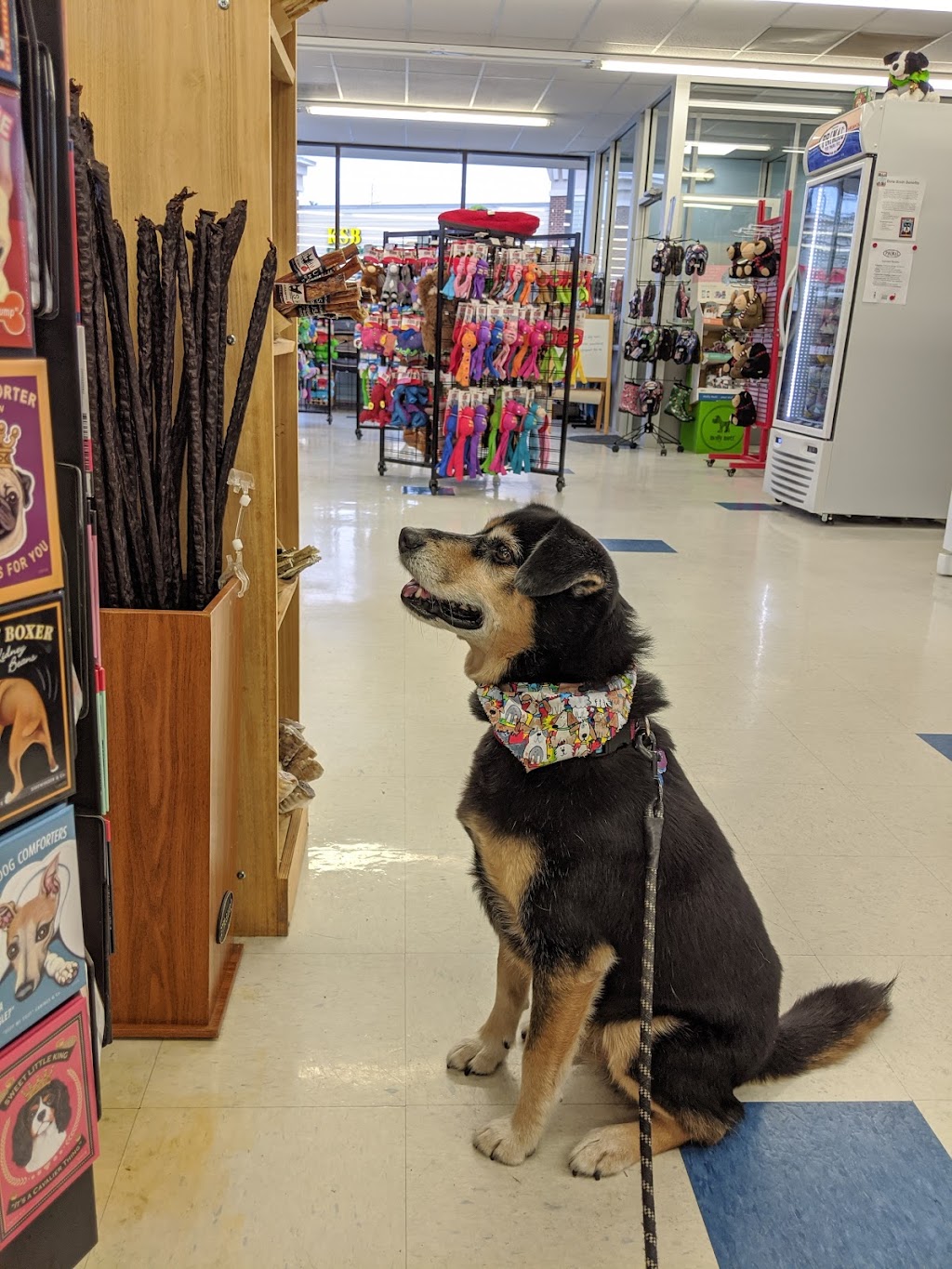 Webers Pet Supermarket | 2280 Hunters Woods Plaza c, Reston, VA 20191, USA | Phone: (703) 476-3536