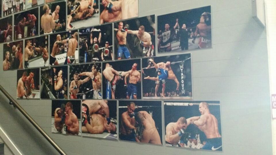 American Kickboxing Academy | 7012 Realm Dr, San Jose, CA 95119, USA | Phone: (408) 225-9000