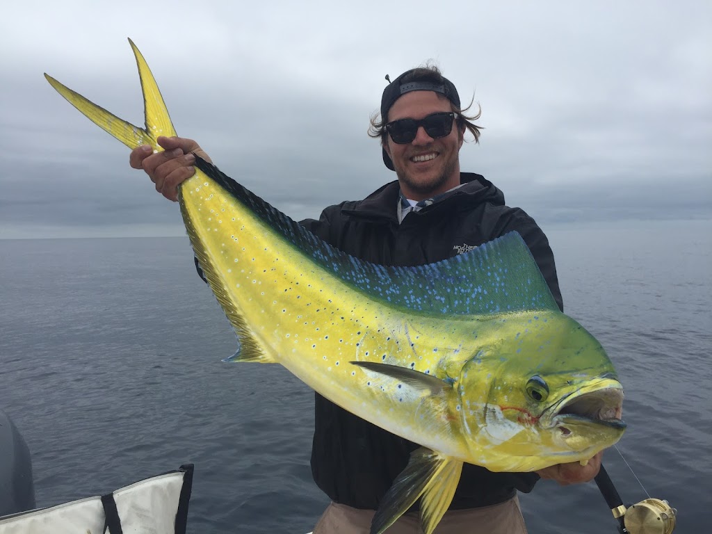 AllWater Fishing Charters, Catalina Island | 25051 Calle Playa c, Laguna Niguel, CA 90704 | Phone: (310) 955-4201