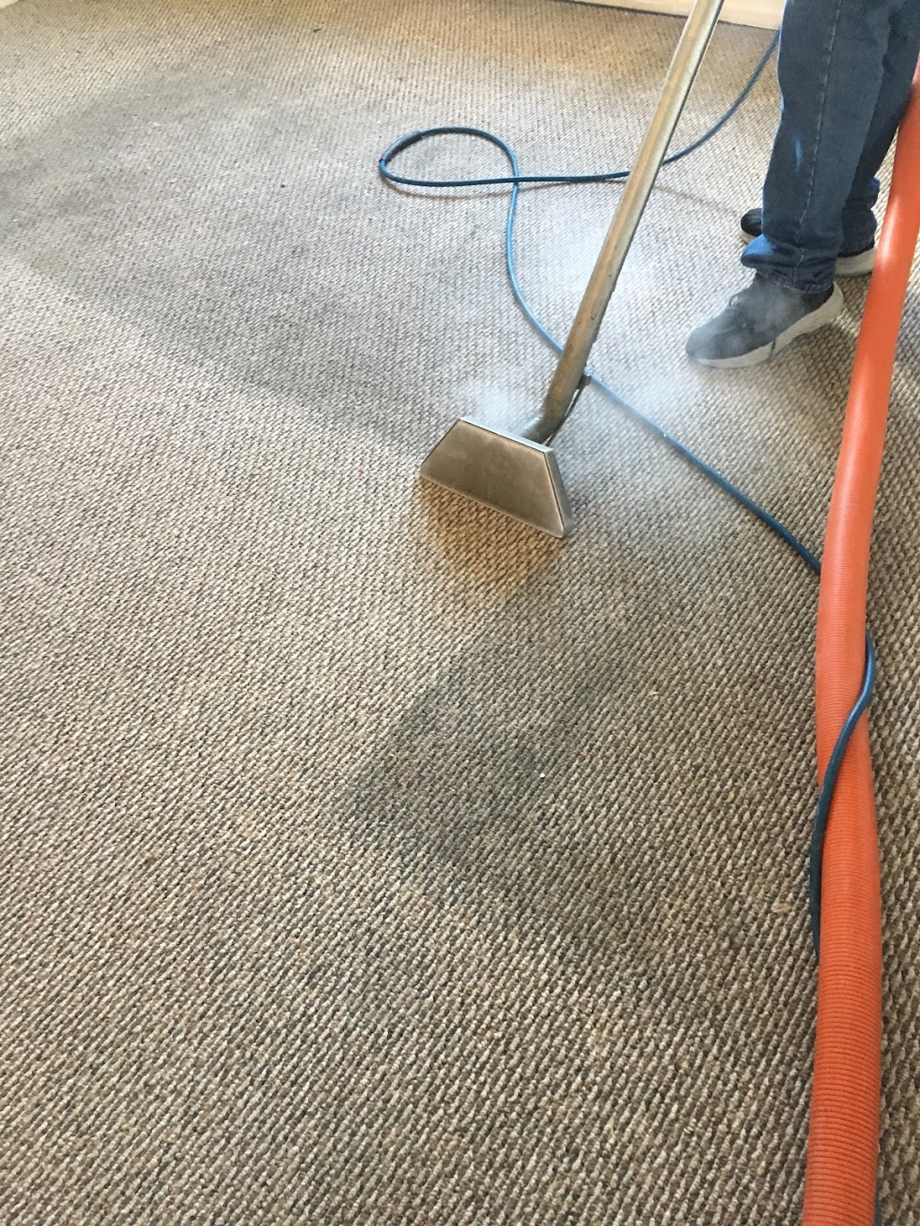 Eagle 1 Carpet Cleaning | 3211 Debbie Way, Carson City, NV 89706, USA | Phone: (775) 885-1991