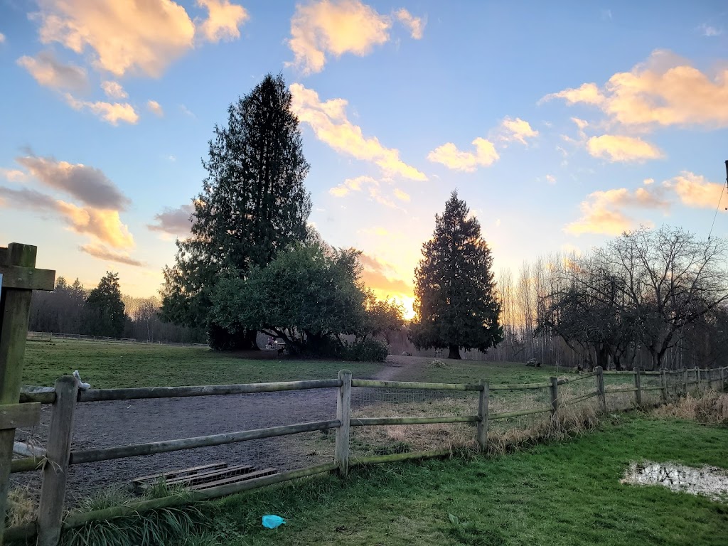 Cavalero Hill Dog Park | 7708 20th St SE, Lake Stevens, WA 98258, USA | Phone: (425) 388-6600