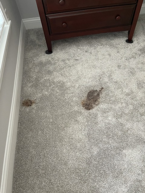Burlews Carpet Cleaning | Photo 2 of 10 | Address: 9080 Goldpark Dr, West Chester Township, OH 45011, USA | Phone: (513) 779-9138