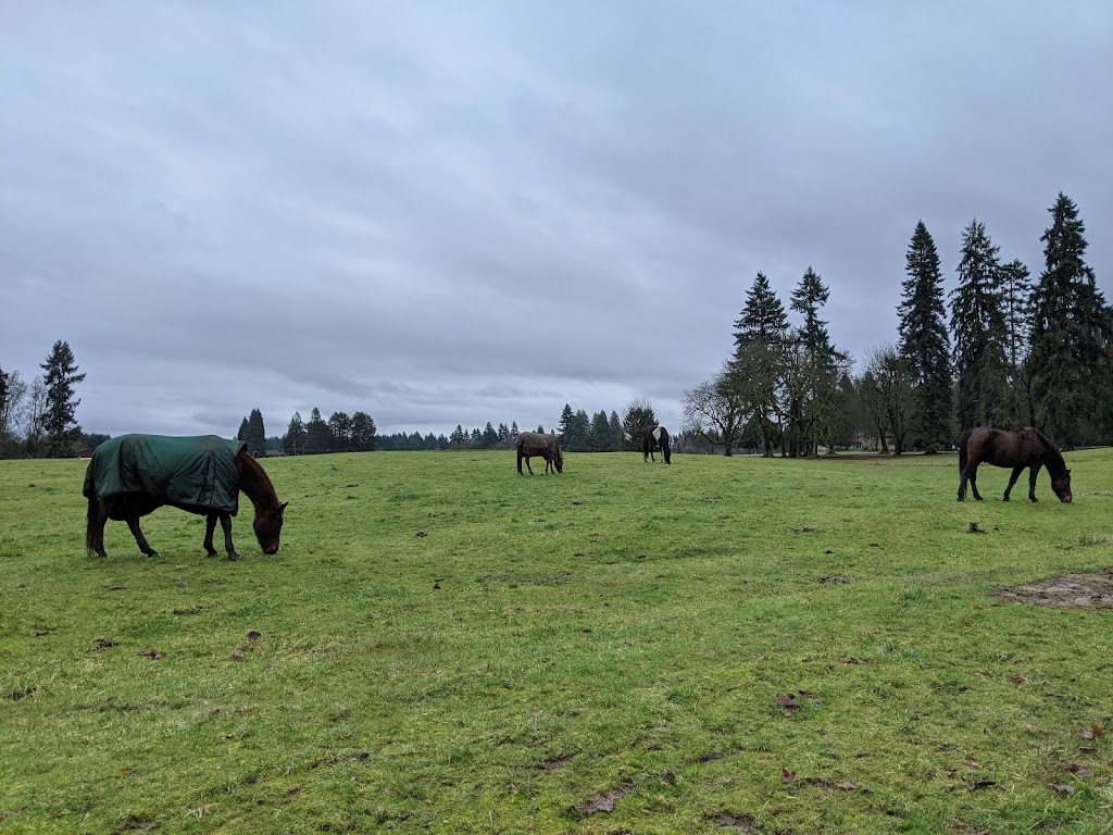 Whipple Creek Regional Park | 17202 NW 21st Ave, Ridgefield, WA 98642, USA | Phone: (360) 397-2285