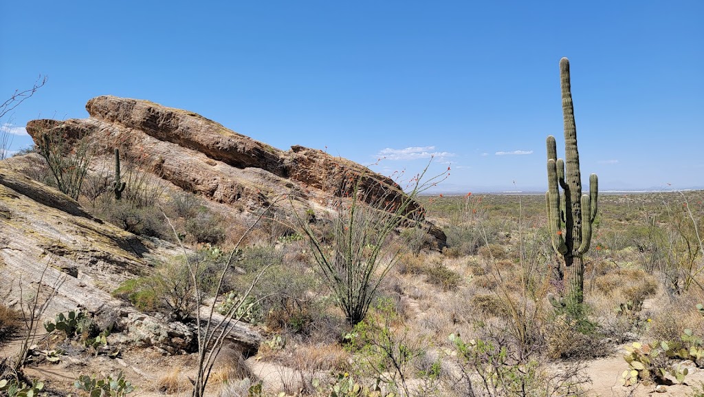 Javelina Rocks | Cactus Forest Dr, Tucson, AZ 85748, USA | Phone: (520) 733-5153