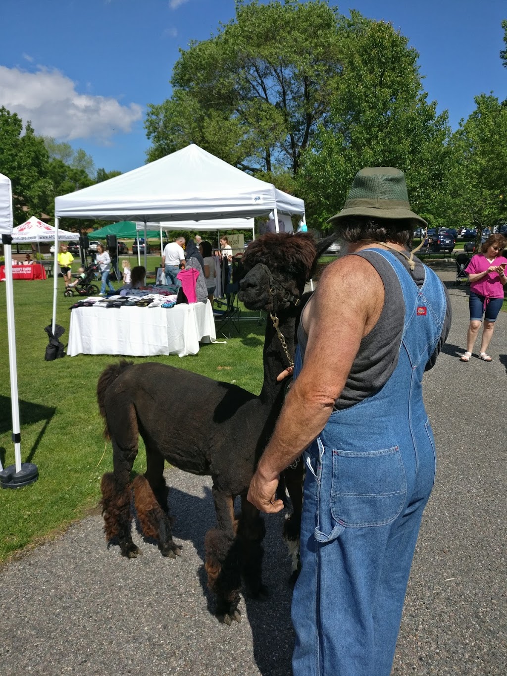 Stoneham Farmers Market | 38-80 Church St, Stoneham, MA 02180, USA | Phone: (781) 438-2193