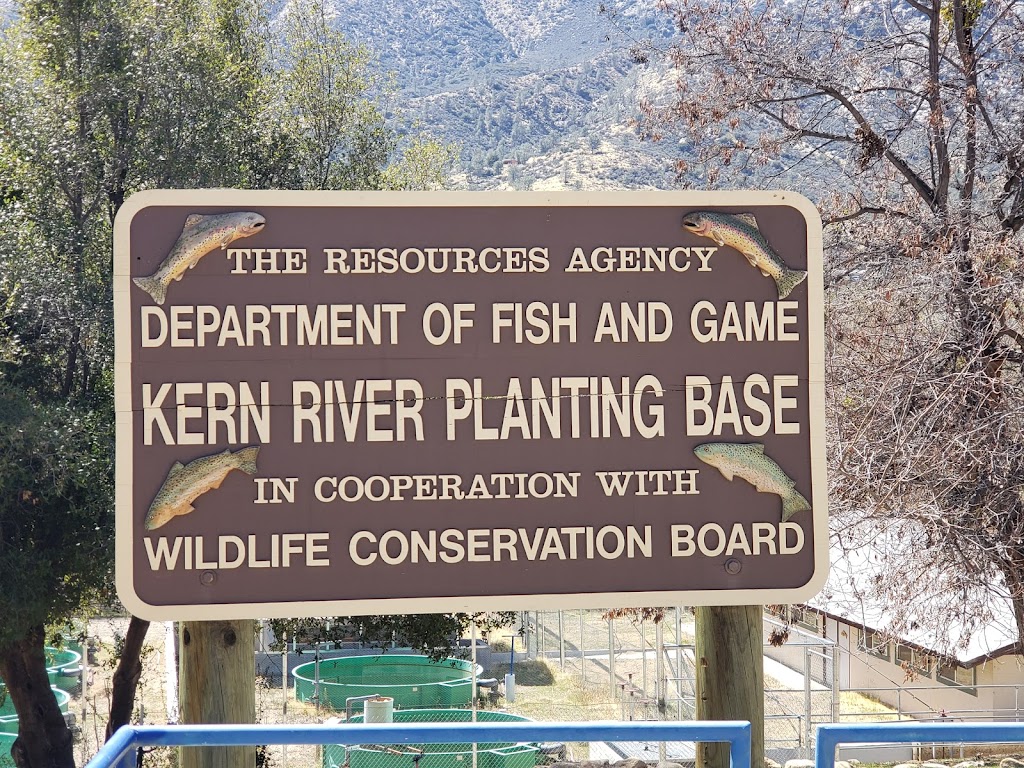 Kern River Fish Hatchery | 14415 Sierra Way, Kernville, CA 93238, USA | Phone: (760) 376-2846