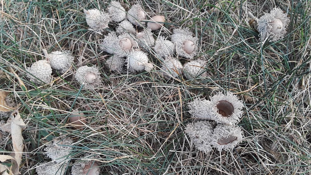 Acorn Park | 125 102nd Ave NW, Minneapolis, MN 55448, USA | Phone: (763) 755-2880