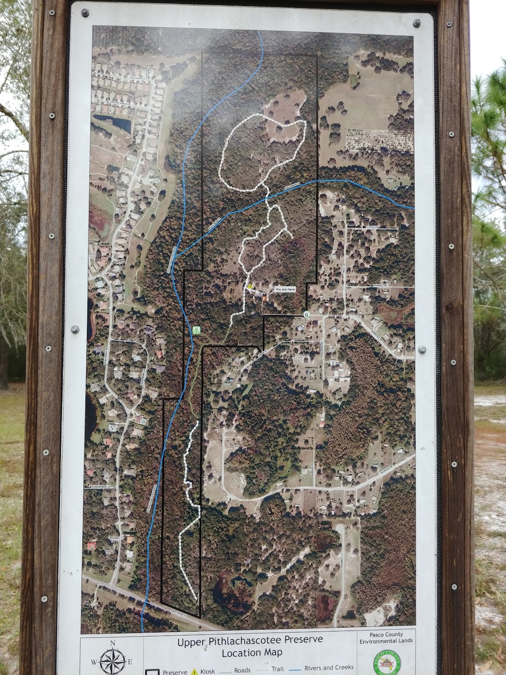 Upper Pithlachascotee River Preserve | 17135 Minneola Dr, Spring Hill, FL 34610, USA | Phone: (727) 847-8140