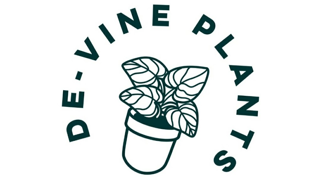 De-Vine Plants | 6131 Anderson Rd Suite K, Tampa, FL 33634, USA | Phone: (813) 433-0990