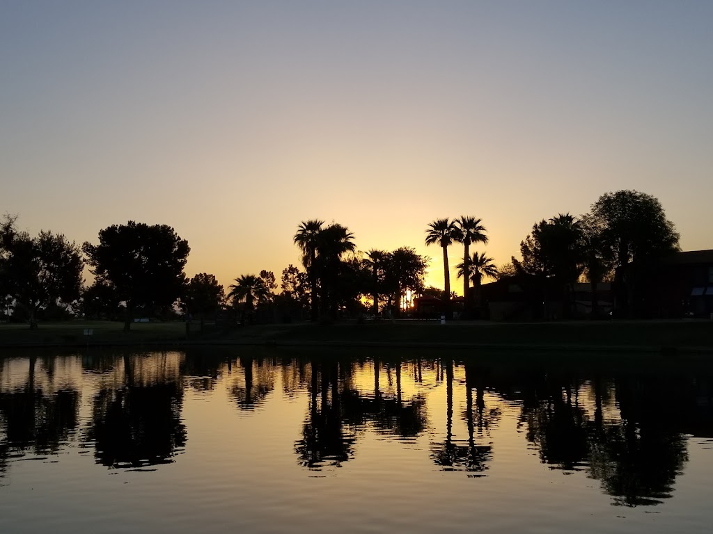 Dobson Ranch Park | 2359 S Dobson Rd, Mesa, AZ 85202, USA | Phone: (480) 644-7529