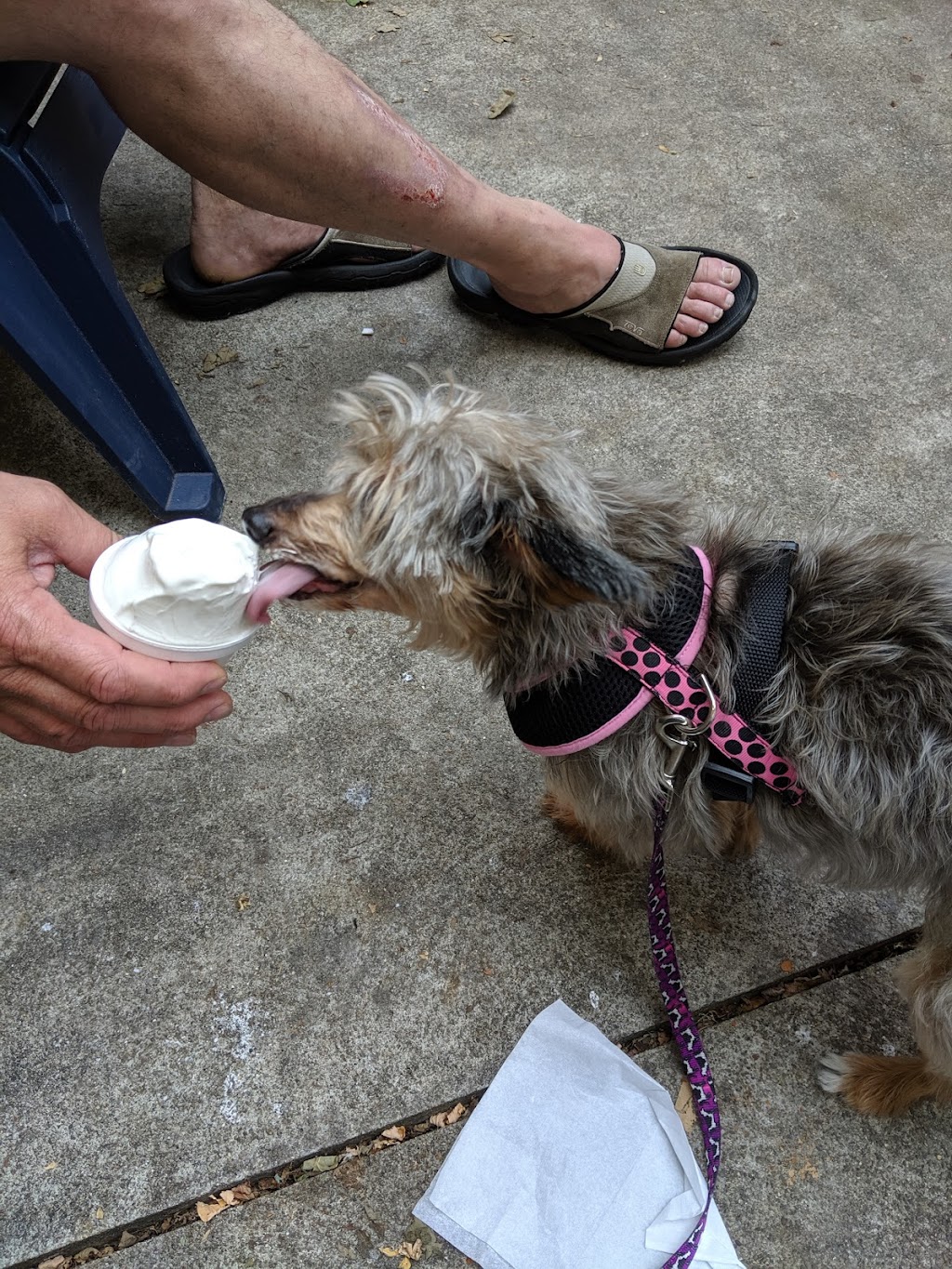 Radar’s Dairy Bar - Mifflin, OH | 37 Maine St, Ashland, OH 44805, USA | Phone: (419) 922-4004