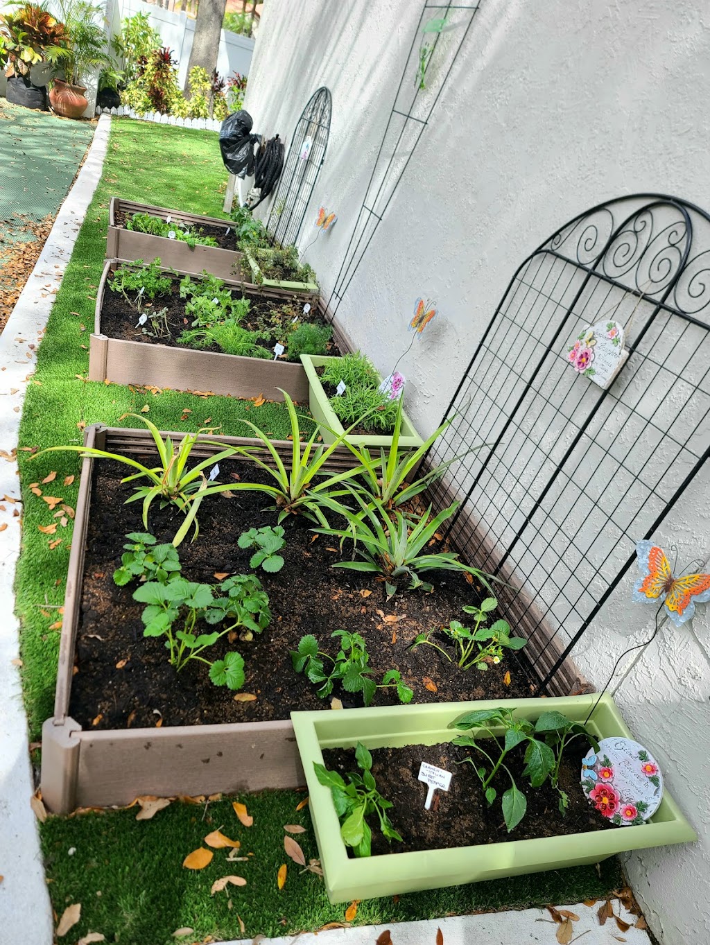 South Florida Montessori Academy | 8201 W McNab Rd, Tamarac, FL 33321, USA | Phone: (954) 951-7867