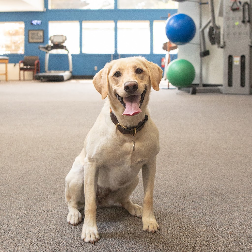 One To One Physical Therapy | 1807 N Stevens St, Tacoma, WA 98406, USA | Phone: (253) 396-9001