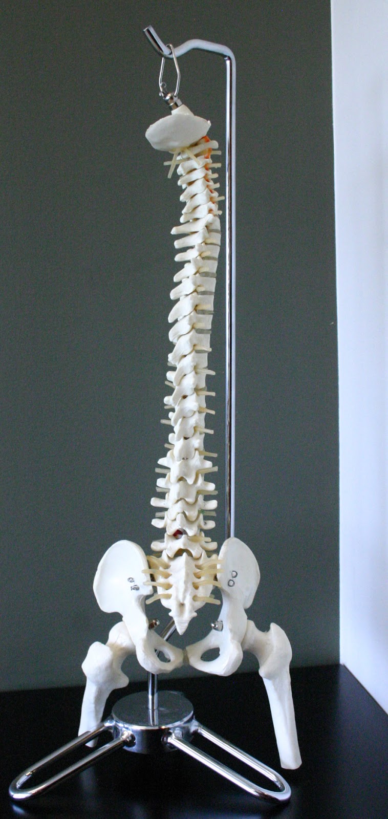 Integrated Sports & Spine | 380 Empire Rd Suite #200, Lafayette, CO 80026, USA | Phone: (303) 578-7050