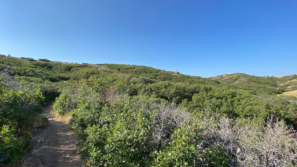 Challenge Hill and Trails at Philip S. Miller Park | 1375 W Plum Creek Pkwy, Castle Rock, CO 80109, USA | Phone: (720) 733-2260